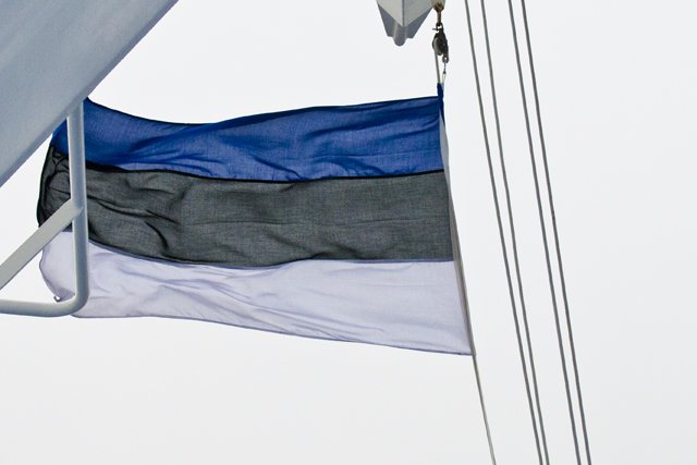 estoniaflag.jpg