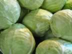 Cabbages1.jpg (37kb)