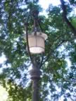 Lamp-Budapest4.jpg (53kb)